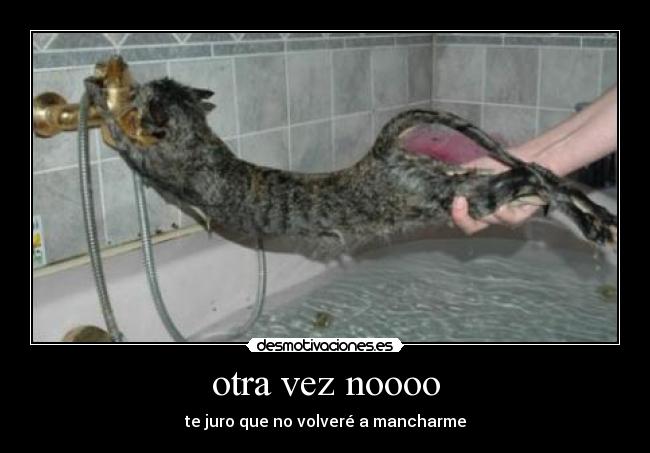 otra vez noooo - te juro que no volveré a mancharme