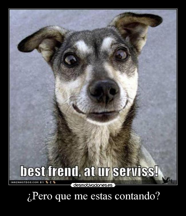 ¿Pero que me estas contando? - 