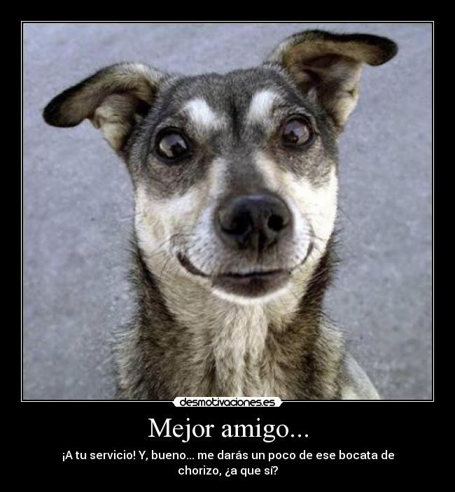 Mejor amigo... - ¡A tu servicio! Y, bueno... me darás un poco de ese bocata de chorizo, ¿a que sí?