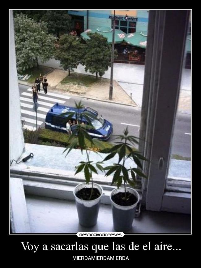 Voy a sacarlas que las de el aire... -