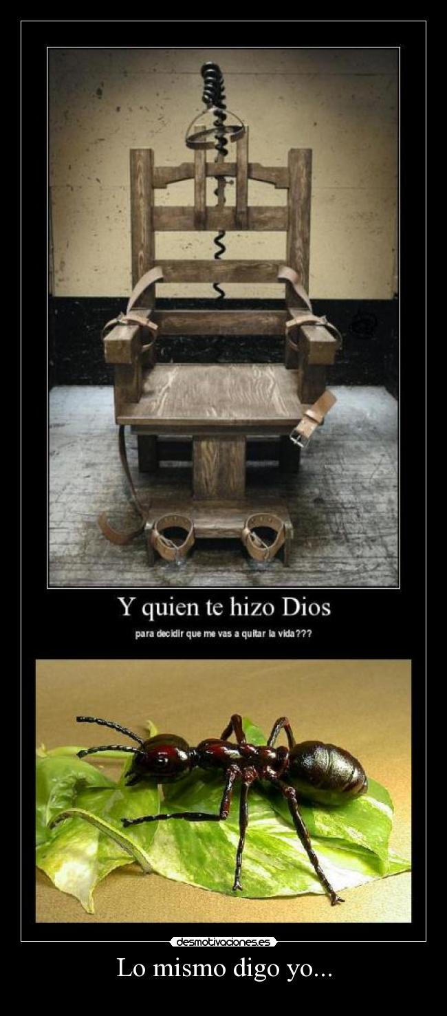 Lo mismo digo yo... - 