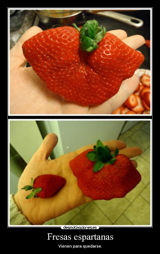 Fresas espartanas - 