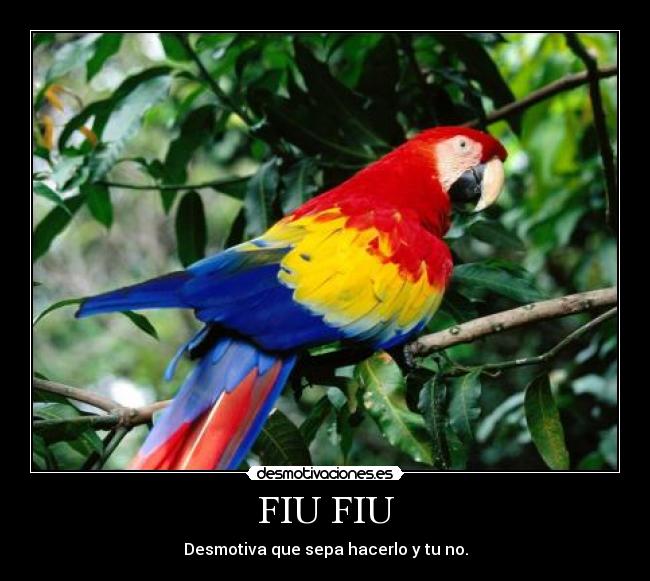 FIU FIU - Desmotiva que sepa hacerlo y tu no.