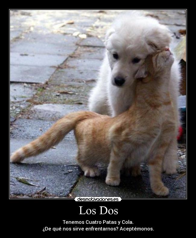 Los Dos -