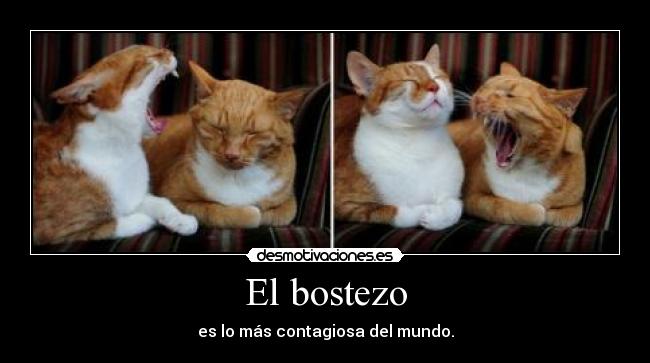 El bostezo -