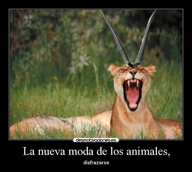 La nueva moda de los animales, - 