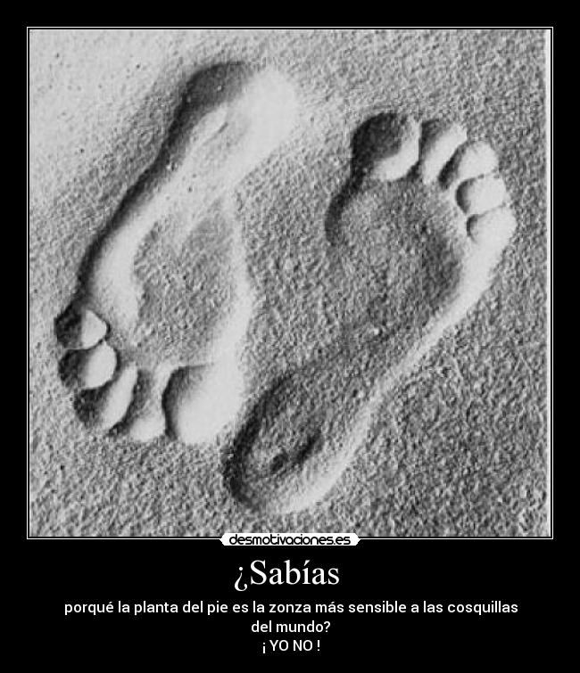 ¿Sabías  - porqué la planta del pie es la zonza más sensible a las cosquillas del mundo?
¡ YO NO !