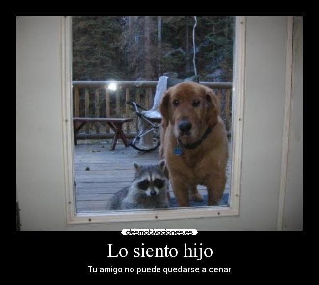 Lo siento hijo - Tu amigo no puede quedarse a cenar