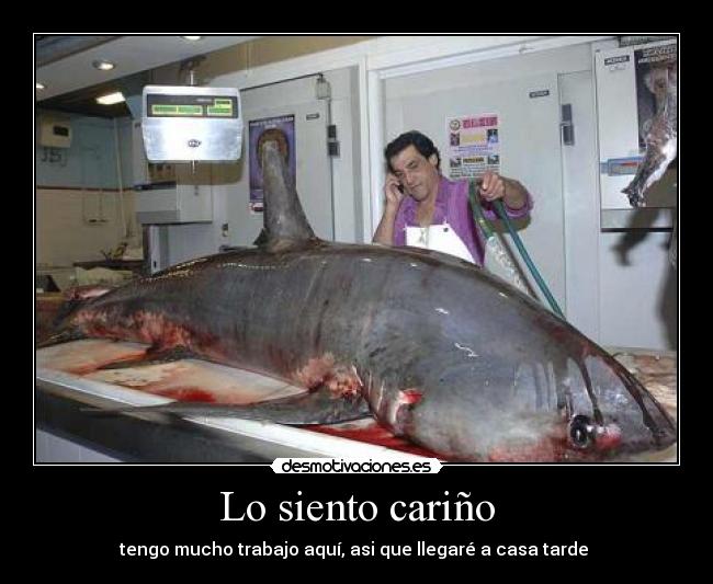 Lo siento cariño - tengo mucho trabajo aquí, asi que llegaré a casa tarde