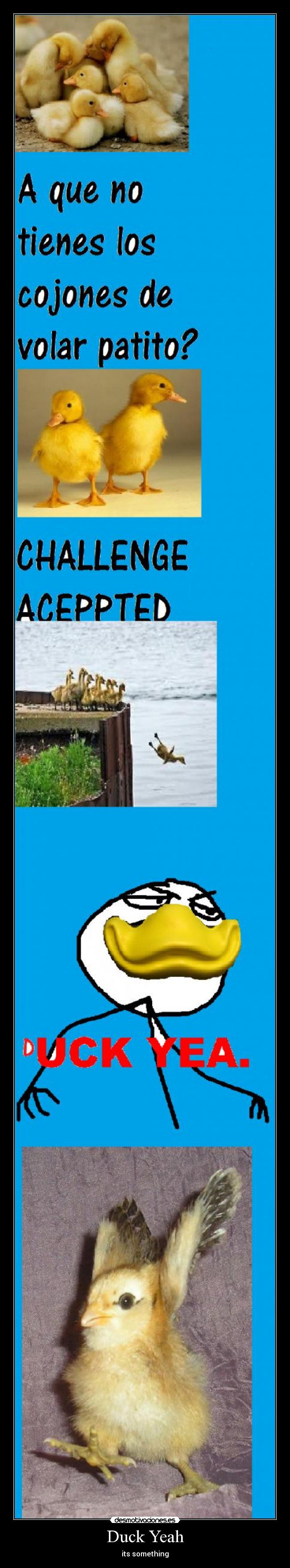 Duck Yeah - its something