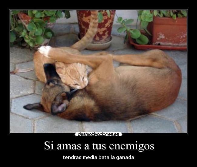 Si amas a tus enemigos - tendras media batalla ganada