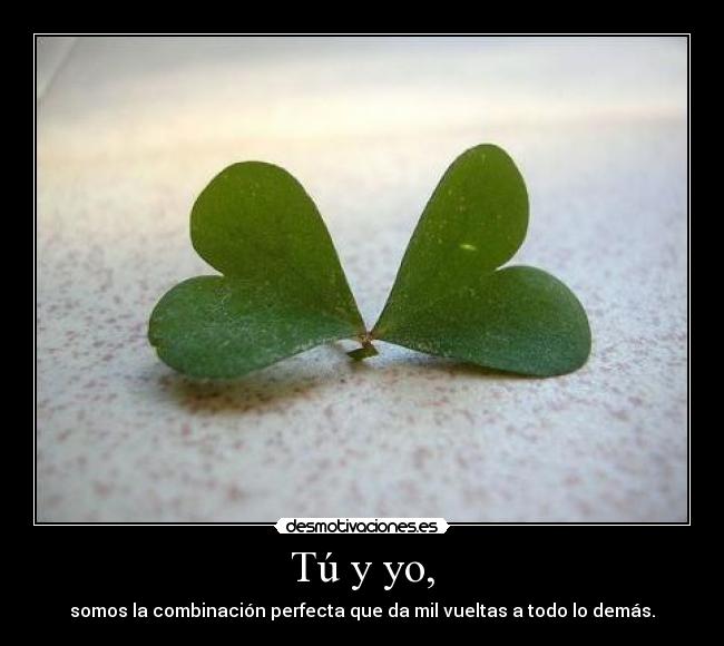 carteles desmotivaciones