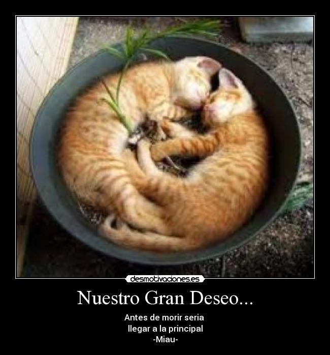 Nuestro Gran Deseo... - Antes de morir seria
llegar a la principal
-Miau-