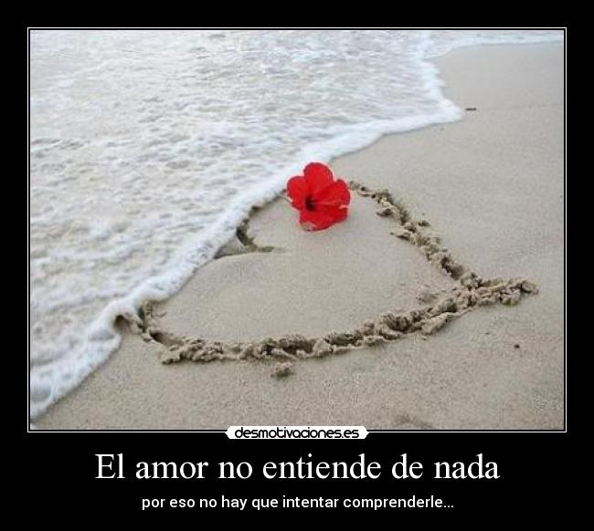 El amor no entiende de nada - por eso no hay que intentar comprenderle...
