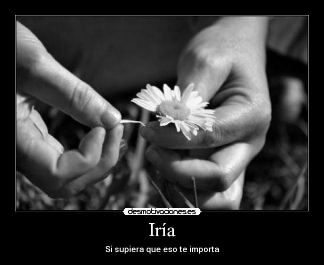 Iría - Si supiera que eso te importa