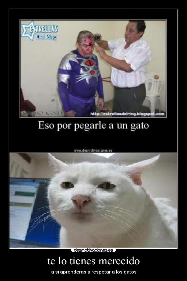 te lo tienes merecido - 