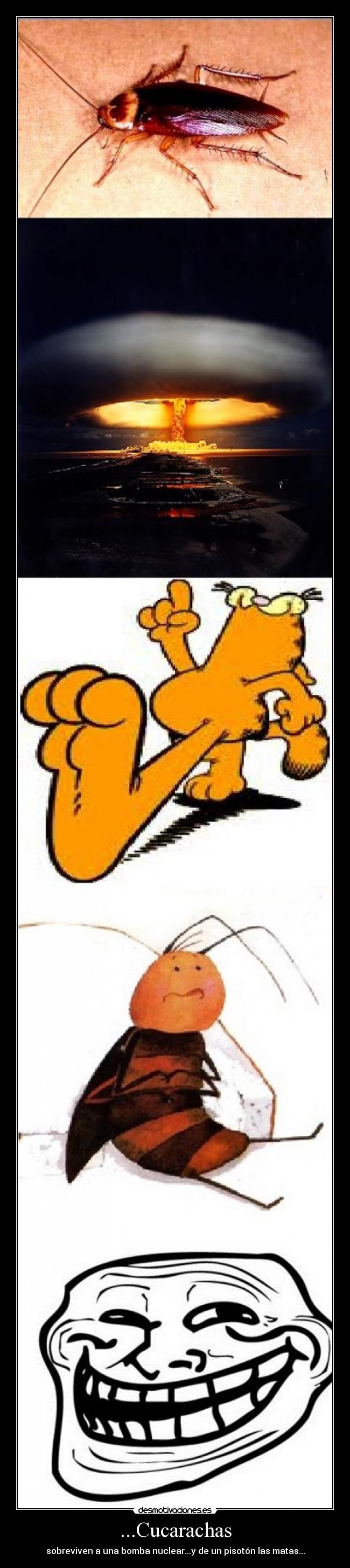 carteles cucarachas bomba pisada trollface desmotivaciones
