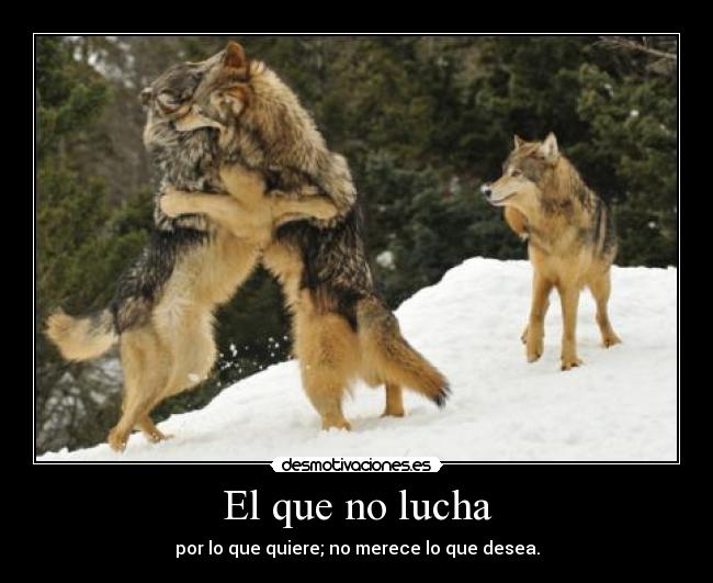 El que no lucha -