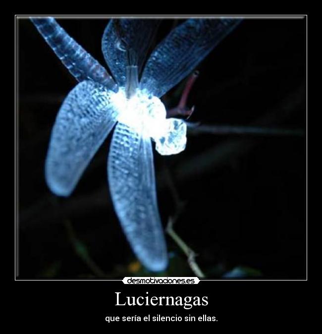 Luciernagas - que sería el silencio sin ellas.