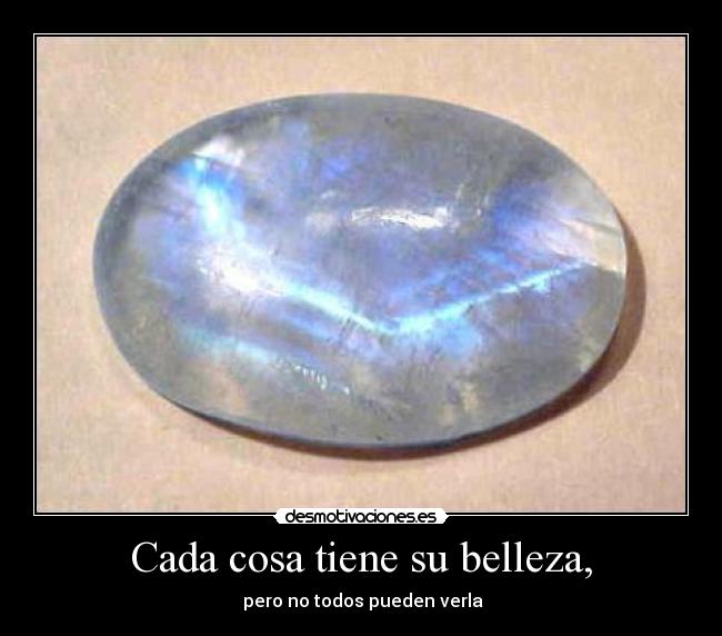 carteles belleza verla desmotivaciones