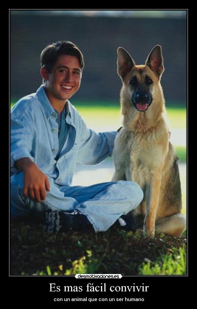 Es mas fácil convivir - con un animal que con un ser humano