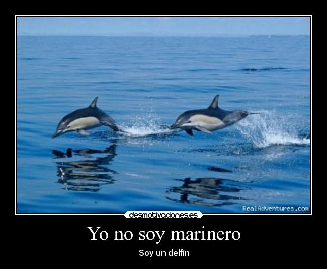 Yo no soy marinero - Soy un delfín
