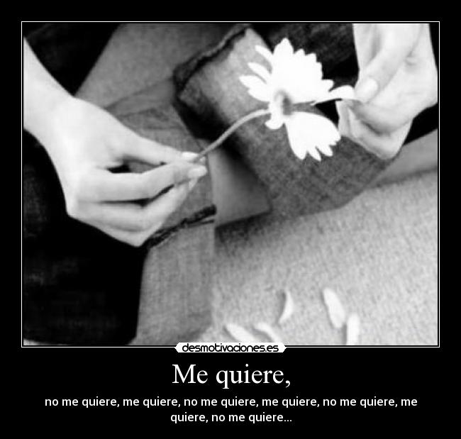 Me quiere, - 