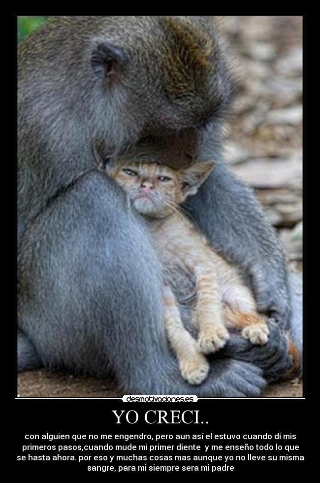 YO CRECI.. -