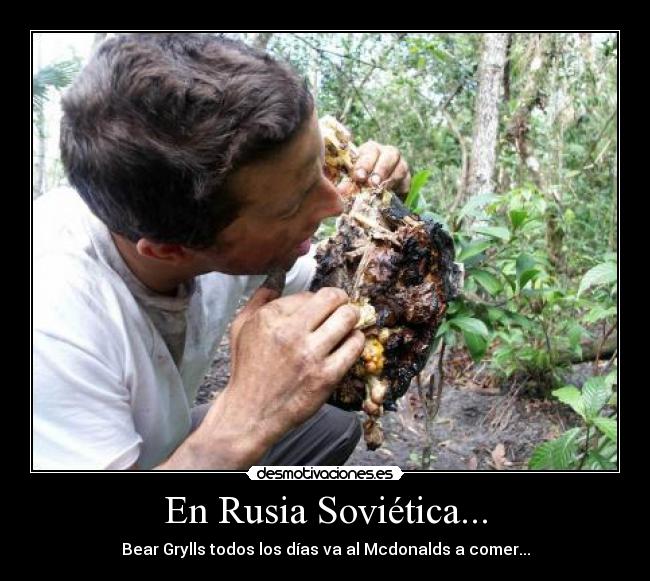 En Rusia Soviética... - Bear Grylls todos los días va al Mcdonalds a comer...
