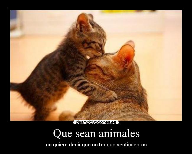 carteles animales hhahahhaoghsgsig desmotivaciones