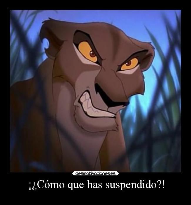 ¡¿Cómo que has suspendido?! - 
