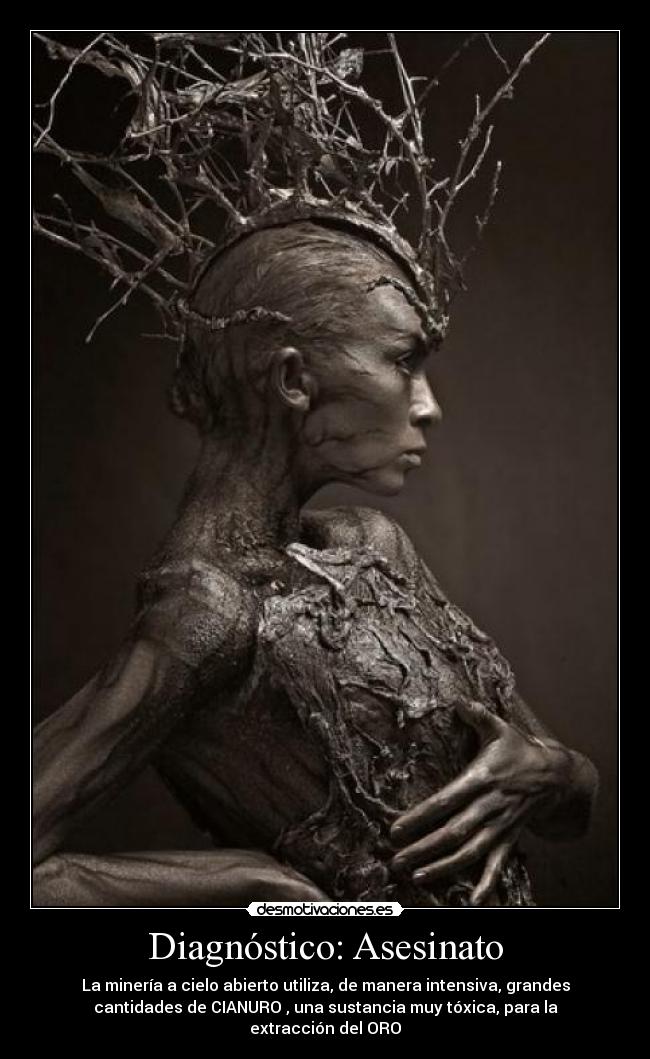 Diagnóstico: Asesinato - 