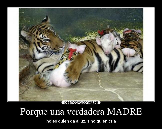 Porque una verdadera MADRE -