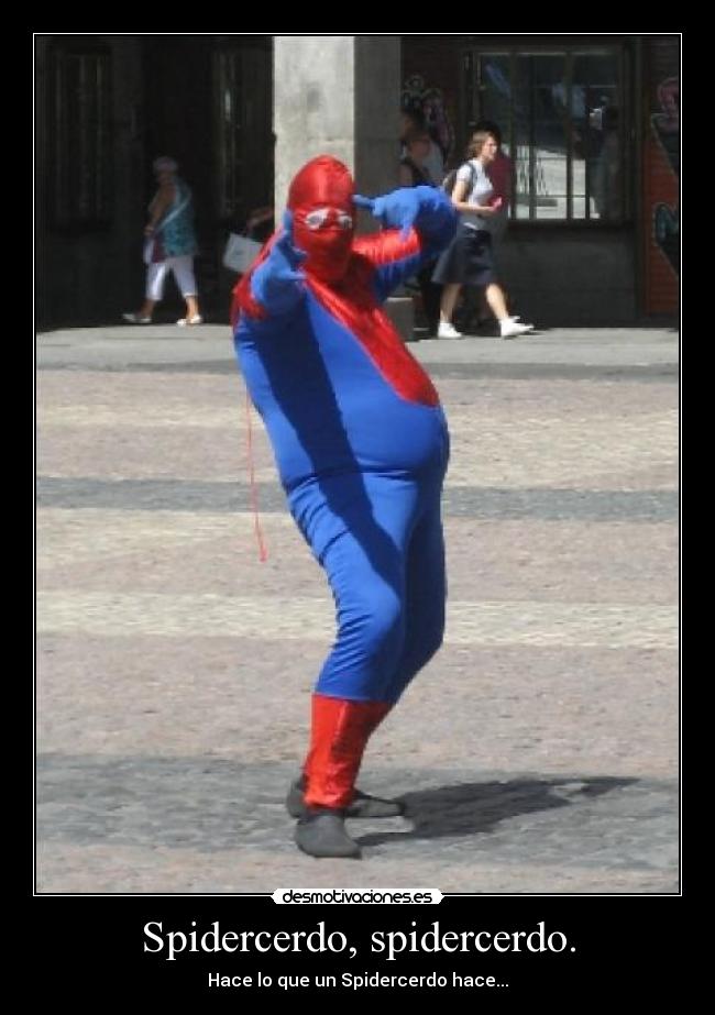 Spidercerdo, spidercerdo. - 