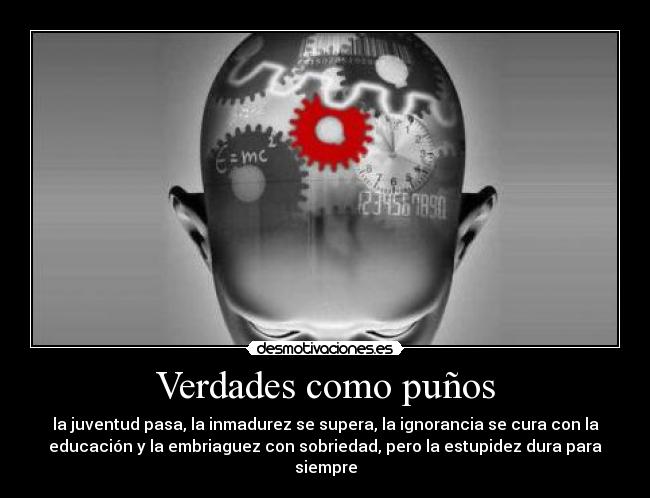 carteles vrdd desmotivaciones