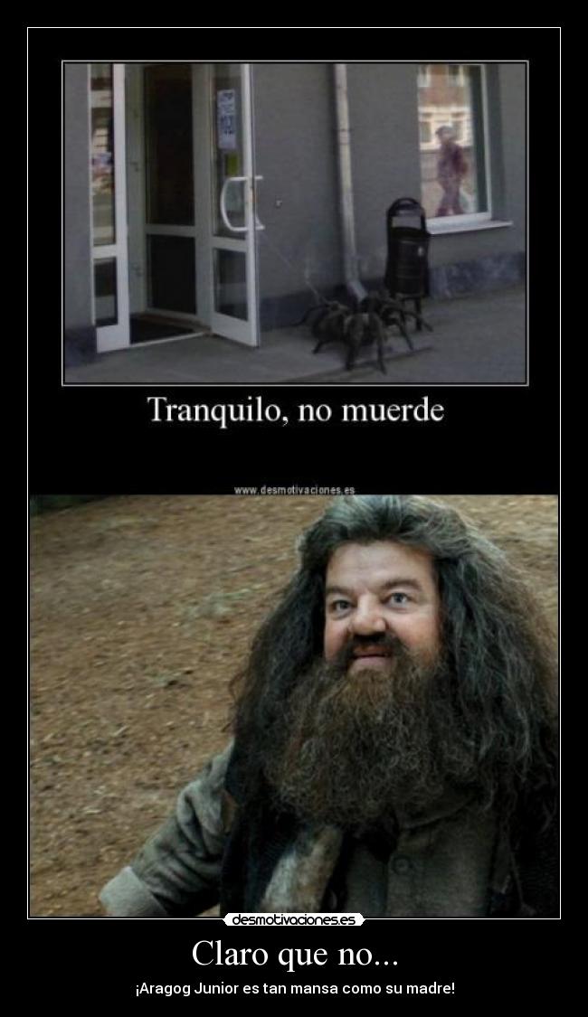 Claro que no... - ¡Aragog Junior es tan mansa como su madre!