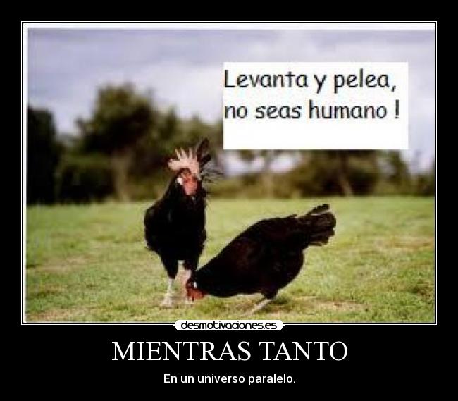 MIENTRAS TANTO -