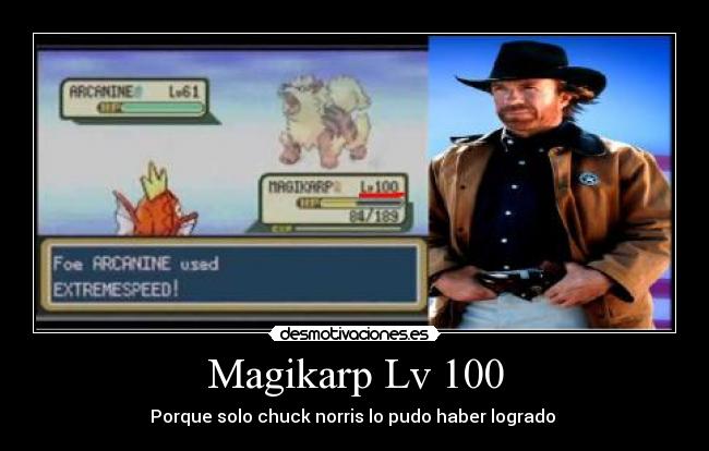Magikarp Lv 100 - 