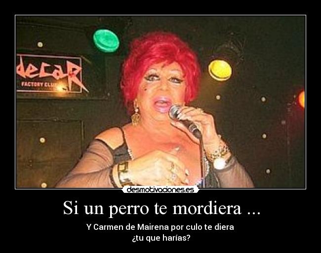 Si un perro te mordiera ... - 