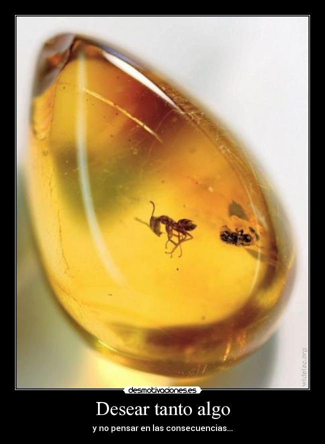 Desear tanto algo - y no pensar en las consecuencias...