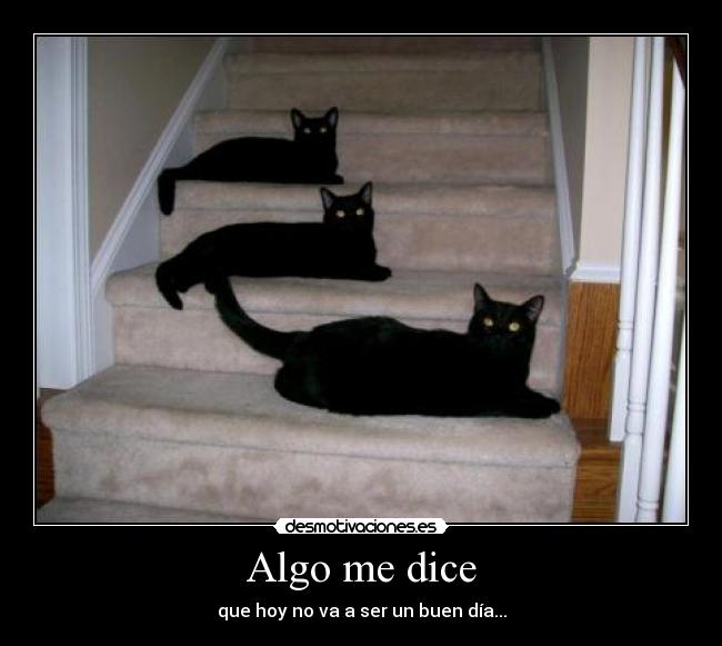 Algo me dice - que hoy no va a ser un buen día...