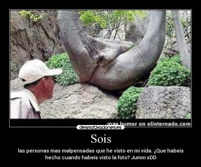 Sois - las personas mas malpensadas que he visto en mi vida. ¿Que habeis
hecho cuando habeis visto la foto? Jumm xDD