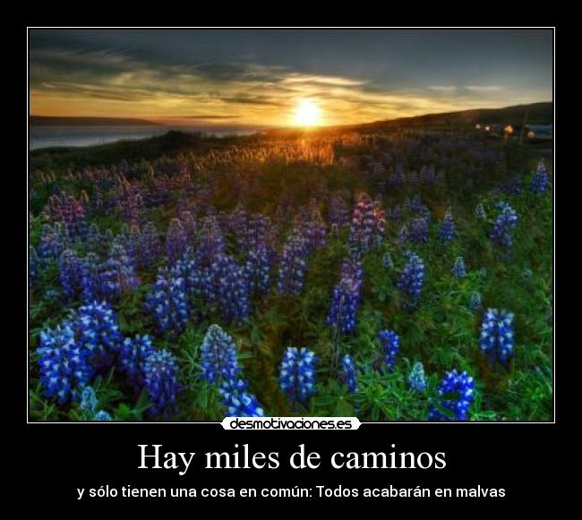 Hay miles de caminos -
