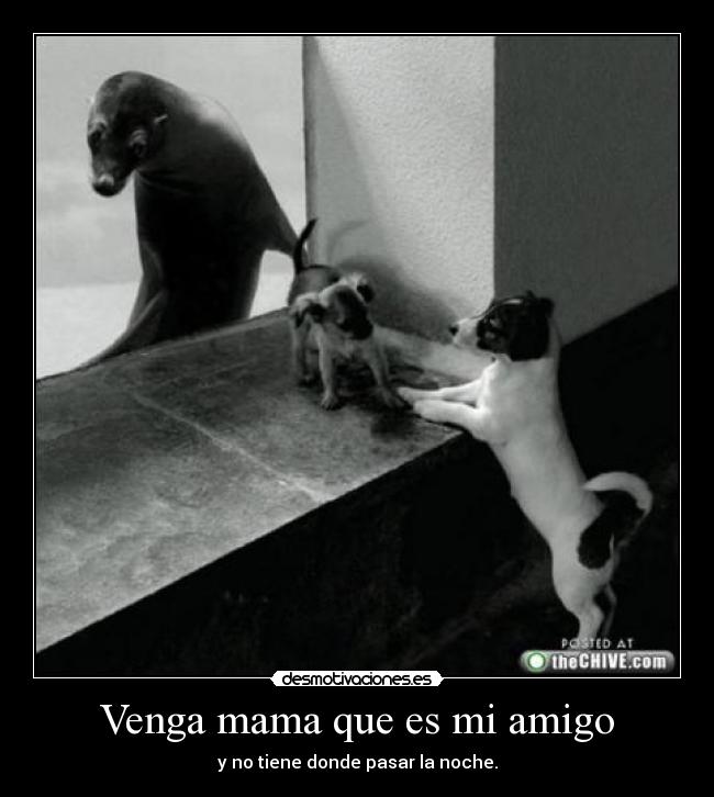 Venga mama que es mi amigo - y no tiene donde pasar la noche.