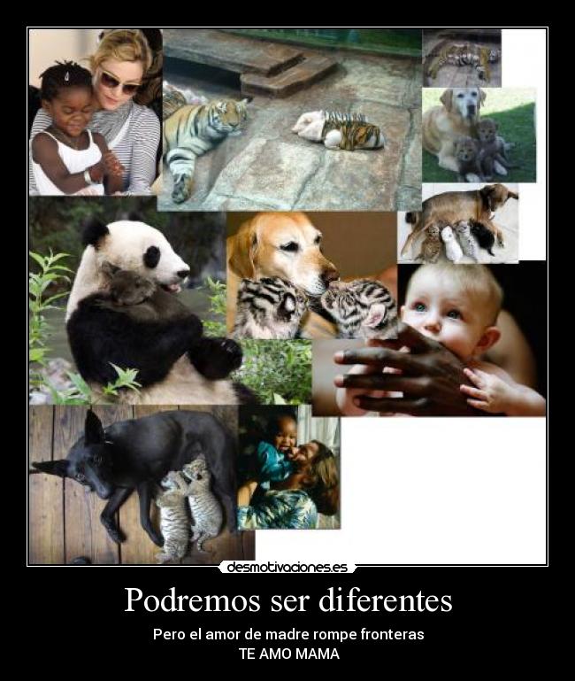 Podremos ser diferentes - Pero el amor de madre rompe fronteras
♥TE AMO MAMA♥