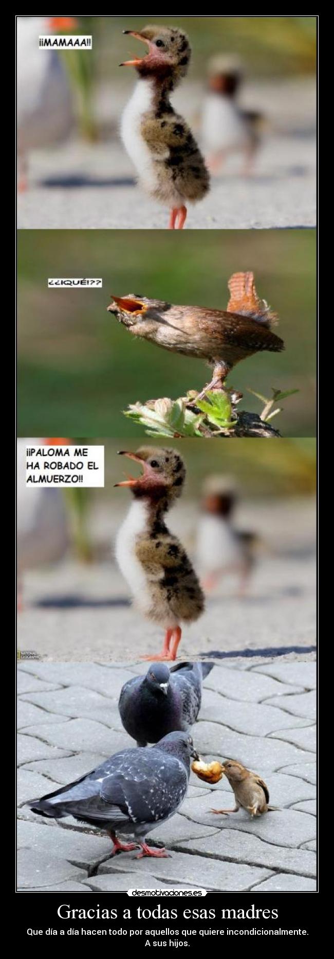 Gracias a todas esas madres -