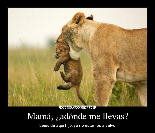 Mamá, ¿adónde me llevas? - Lejos de aquí hijo, ya no estamos a salvo.