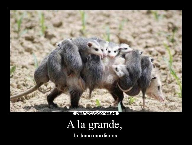 A la grande,  - la llamo mordiscos.