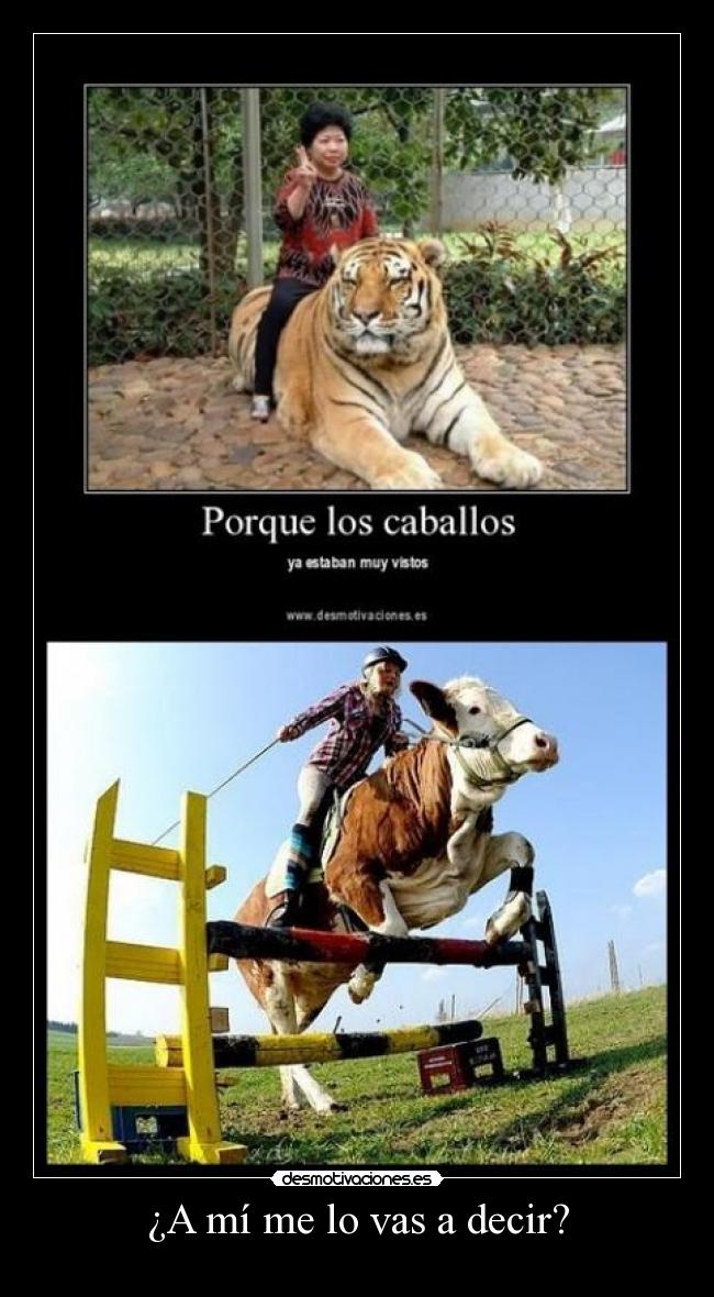 ¿A mí me lo vas a decir? -