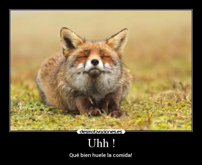 Uhh ! - Qué bien huele la comida! 
